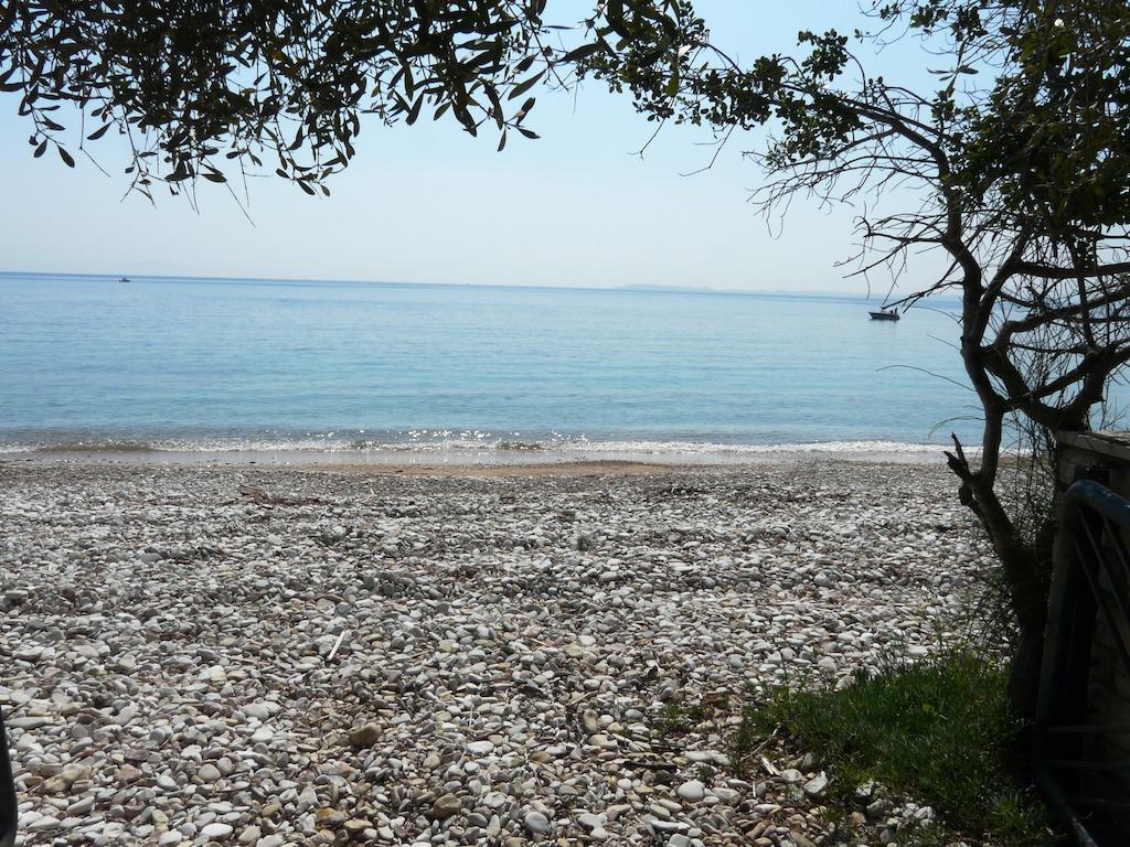 Villa Aliki Barbáti Kültér fotó