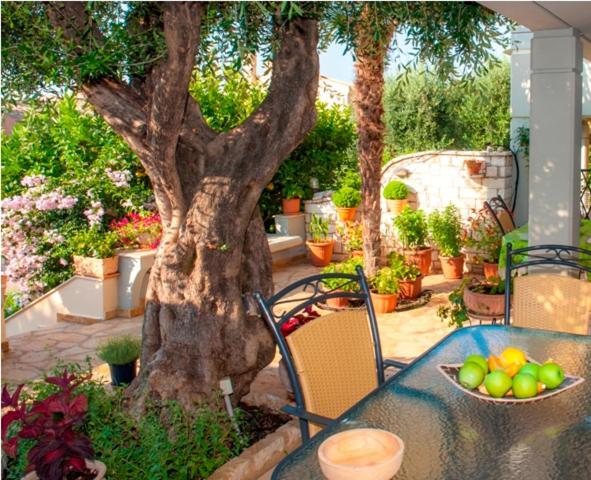 Villa Aliki Barbáti Kültér fotó